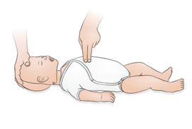 What is Resusci Anne QCPR, Resusci Junior QCPR and Resusci Baby QCPR?